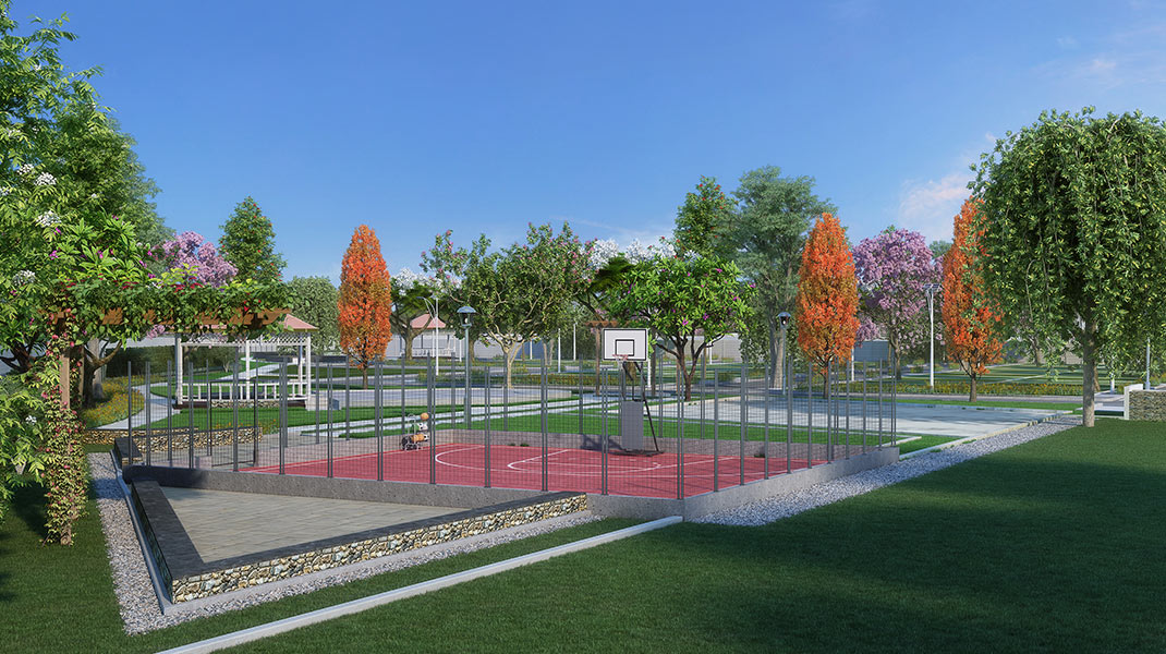 Basketball Court