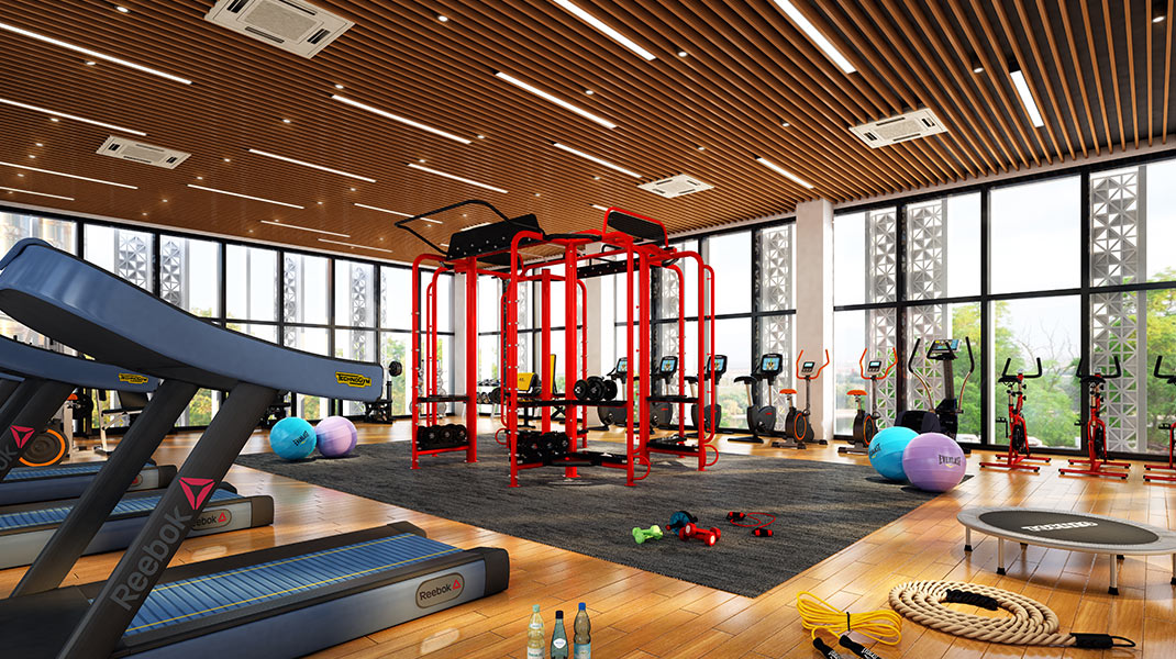 Gymnasium