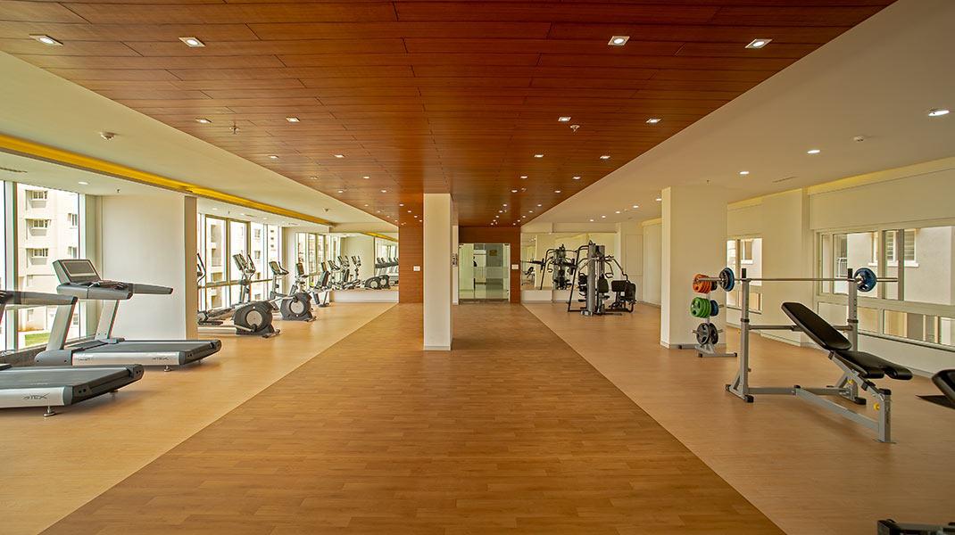 Gymnasium