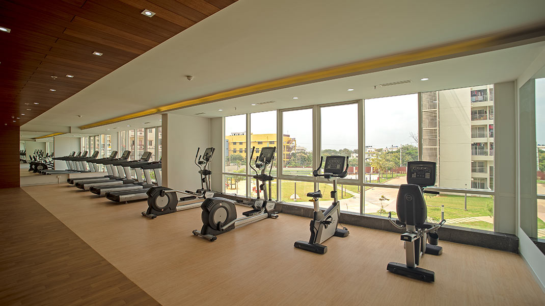 Gymnasium View