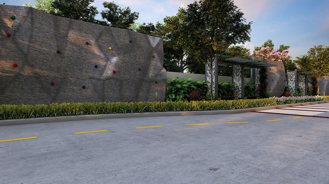 Rock Climbing Walls