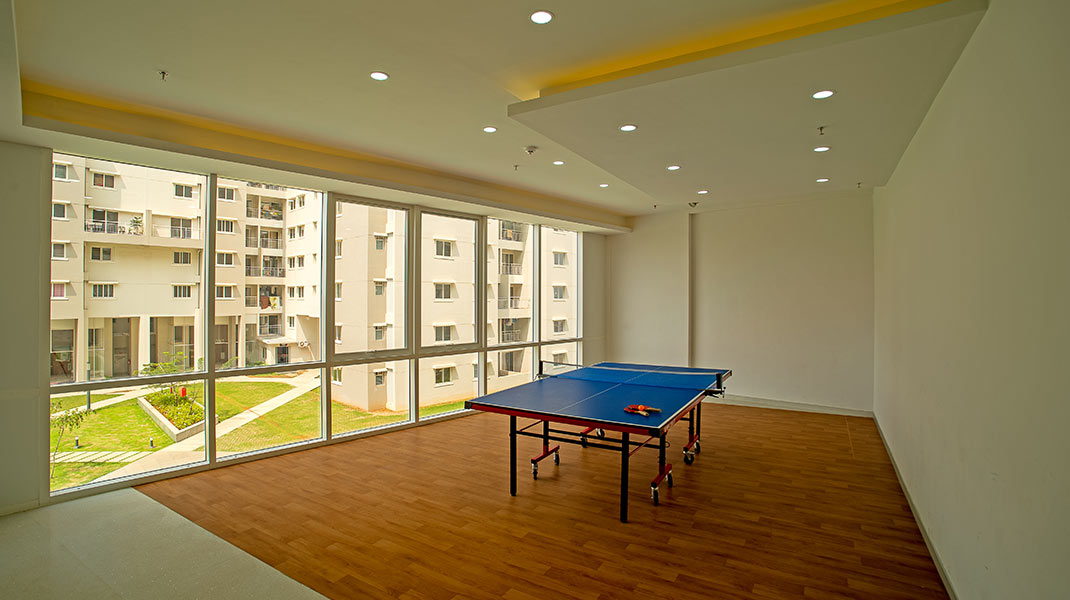 Table Tennis