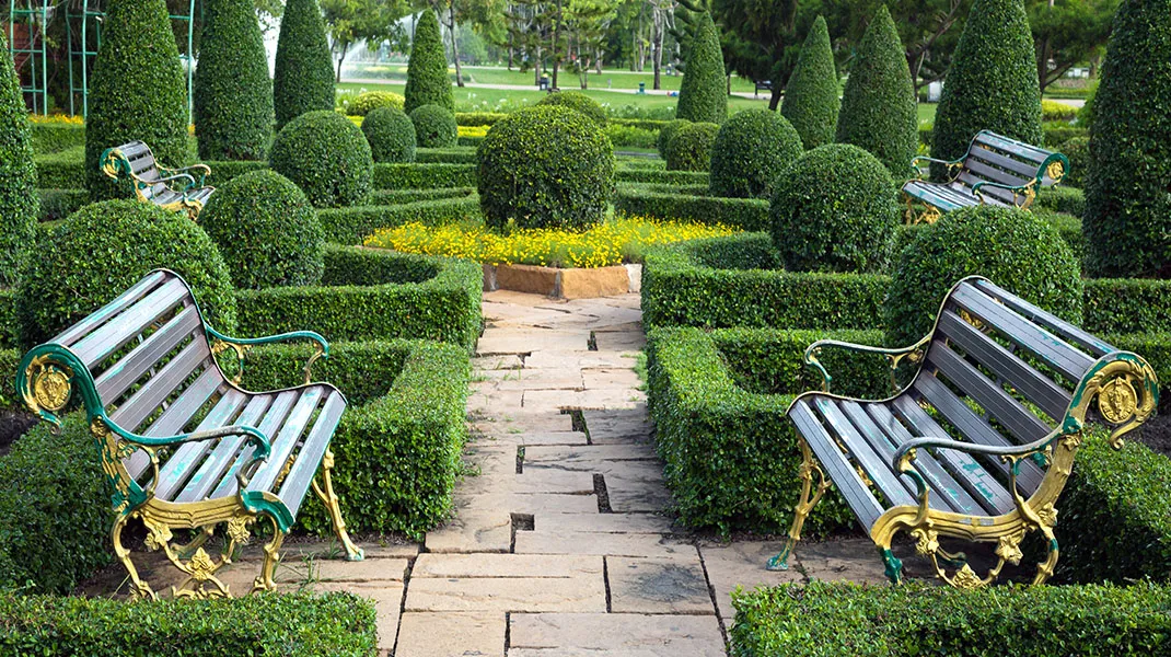 Garden Area