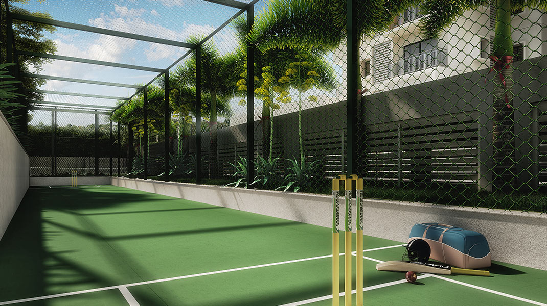 Cricket Pitch
