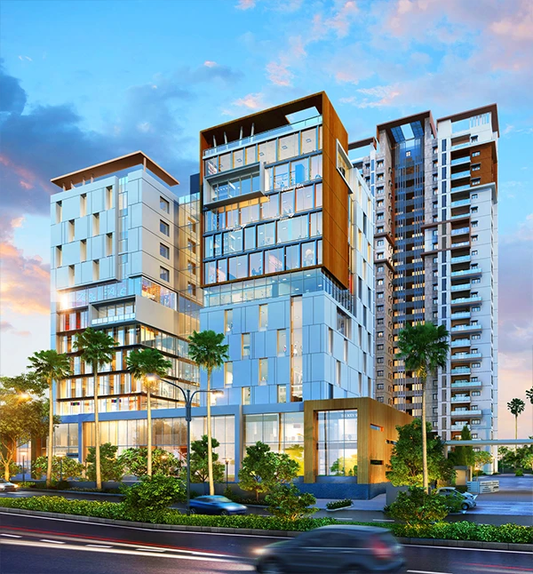 Sattva Magnus project